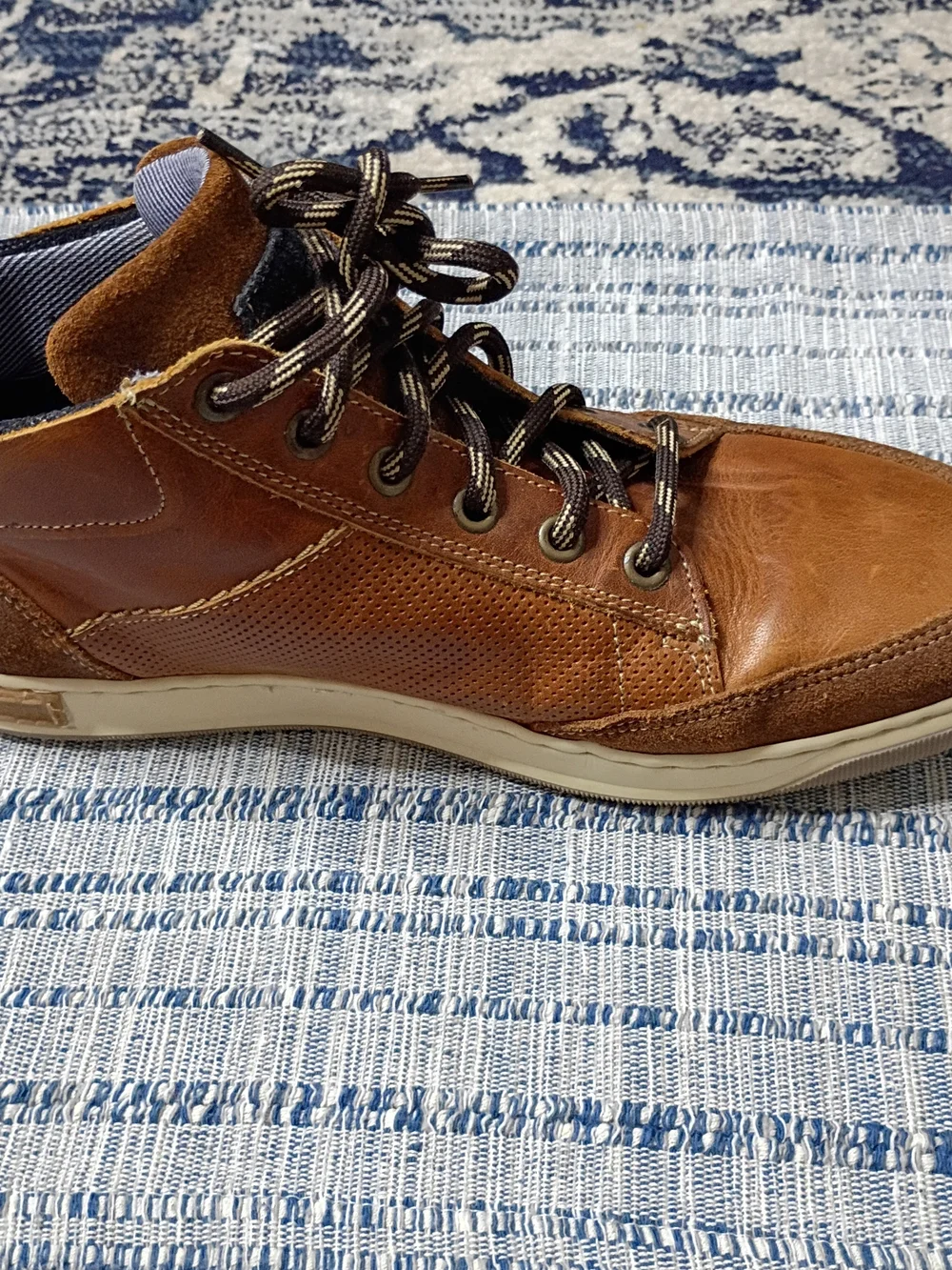 Bull Boxer comfortable built